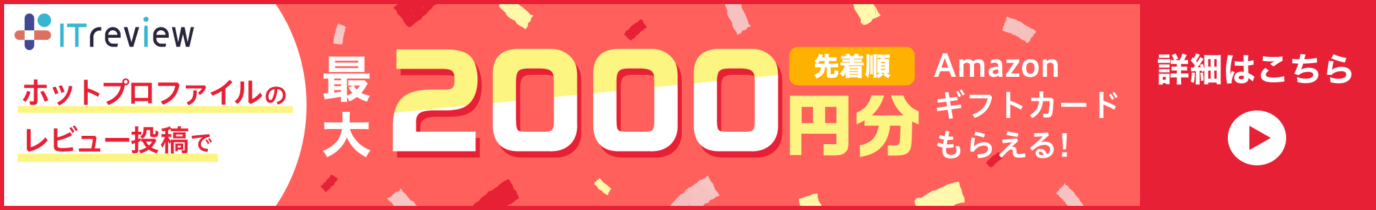 ITレビュー